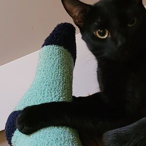 Meet your Posher, Paris